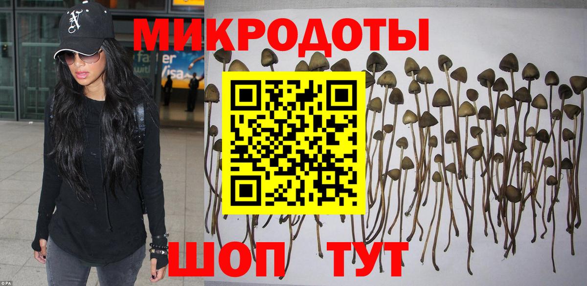 Галлюциногенные грибы Magic Shrooms  Вход с VPN  Александров 