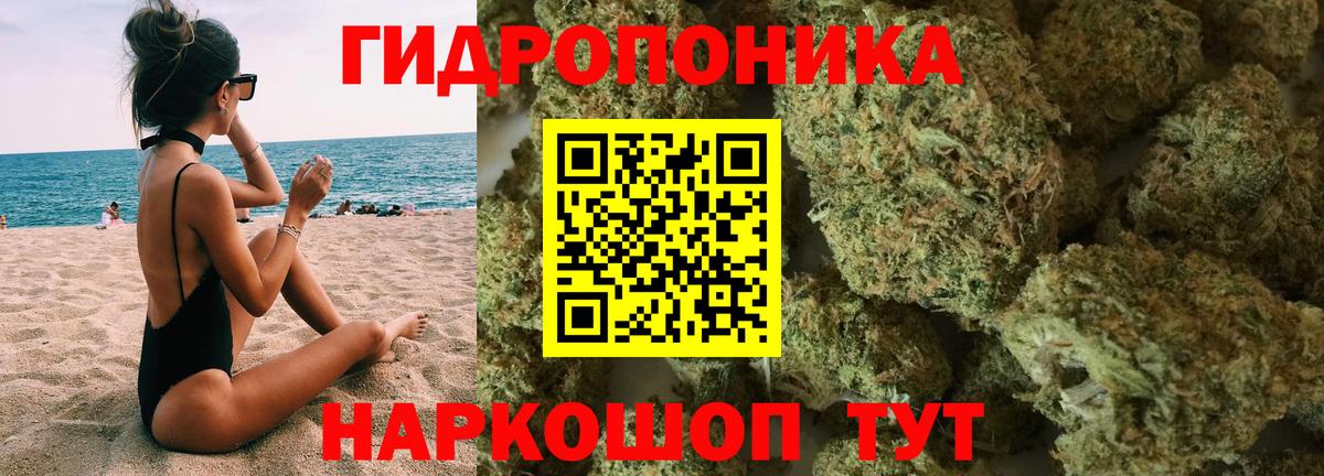 Кокаин  Вход с VPN  Каннабис  Мефедрон   Александров  ГАШИШ  LSD-25 
